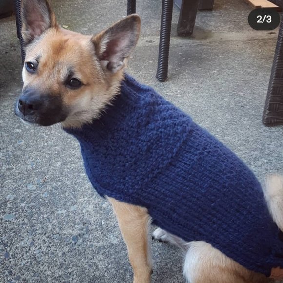 XL Double Dutch Gansey Dog Sweater - Picture 3 of 4